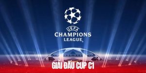 giải đấu Cup C1