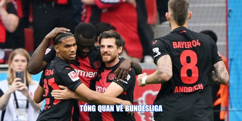 Giới thiệu tổng quan về giải đấu Bundesliga